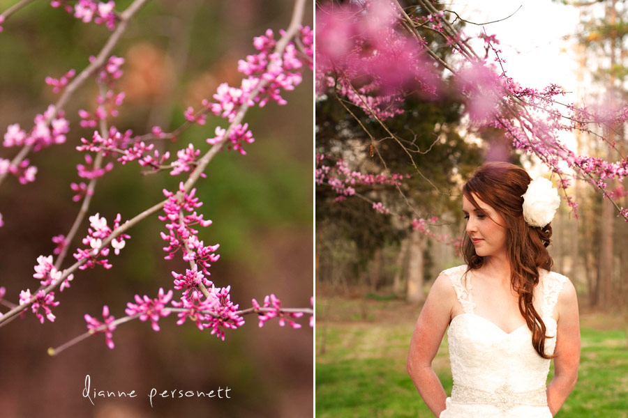 Spring bridal session in charlotte, the orchard house Spring bridal session in charlotte, the orchard house