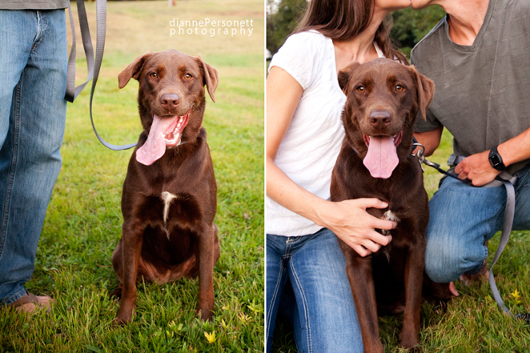 WInston-Salem engagement photos