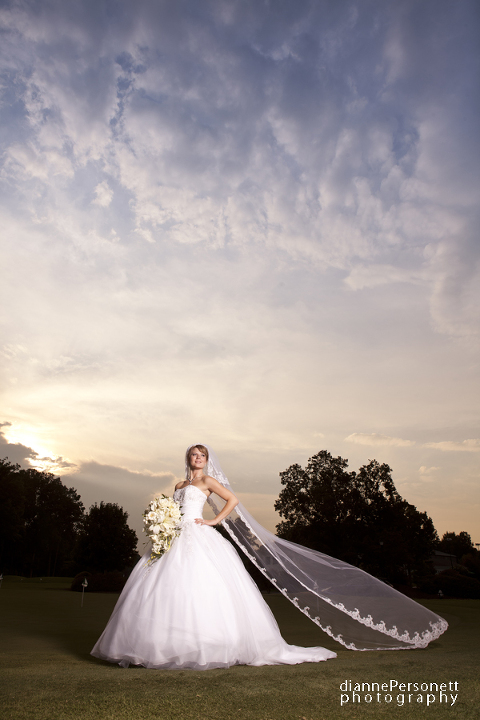 starmount country club wedding