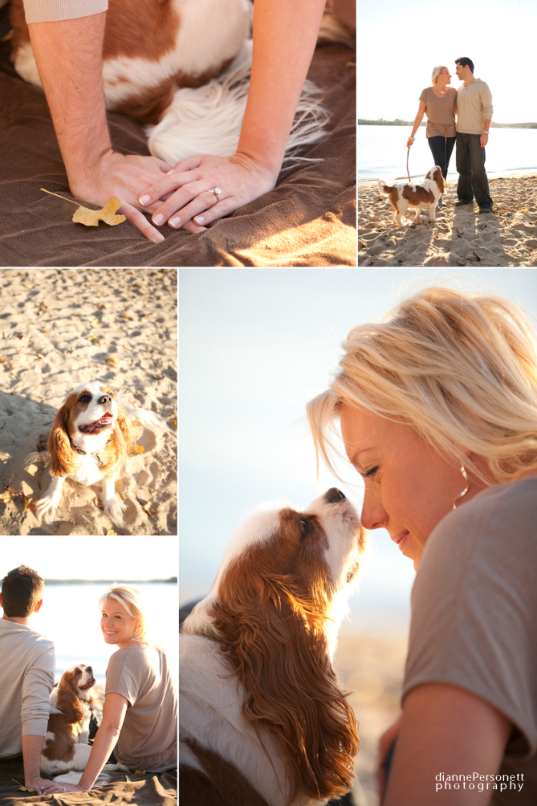 beach engagement photos with dog