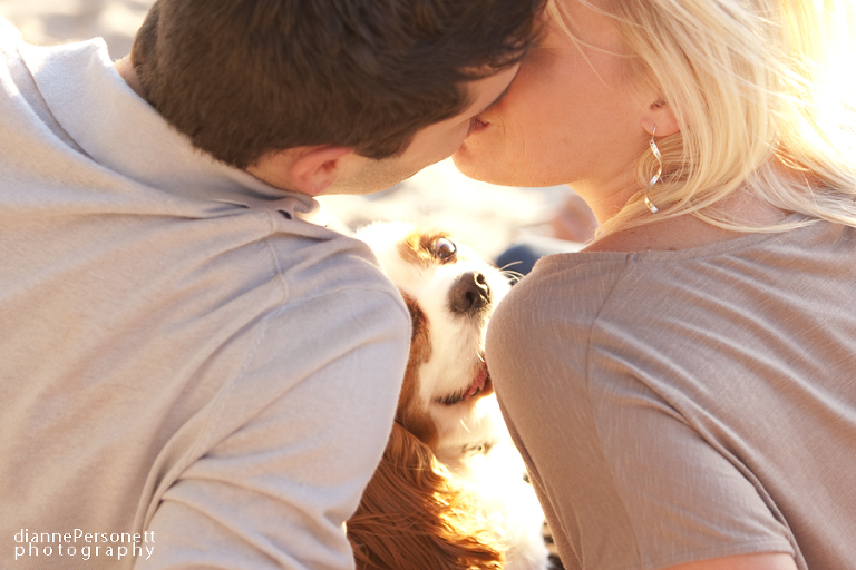 beach engagement photos with dog