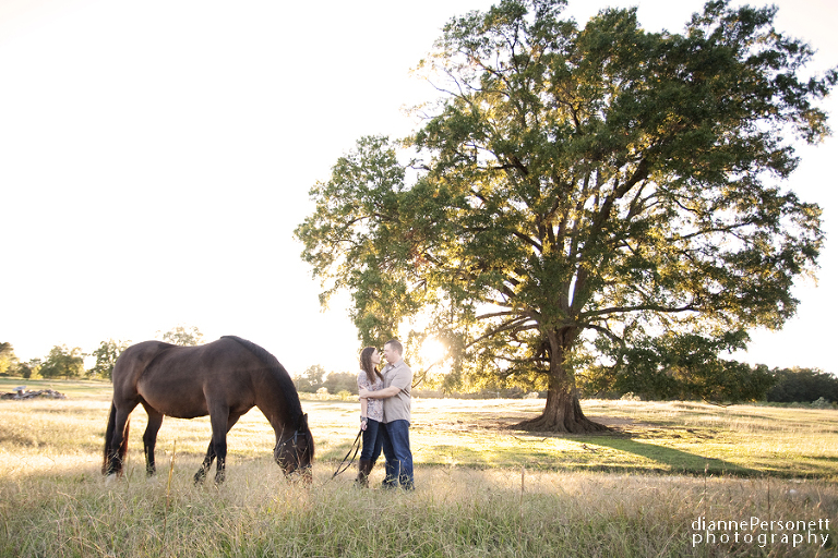 engagement photos with horses