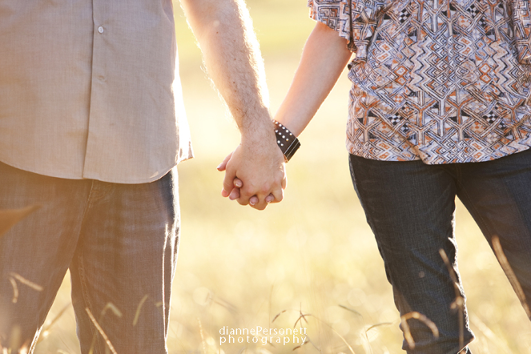 charlotte engagement photos in a field
