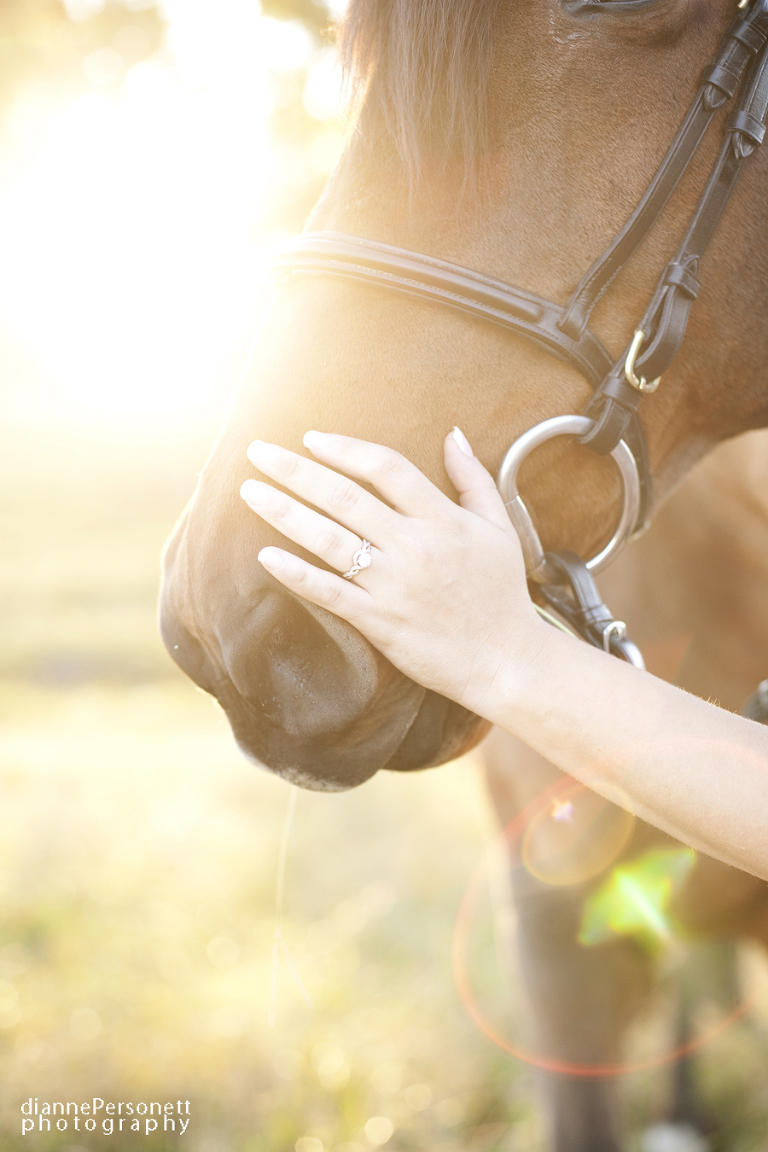 charlotte engagement photos with horses