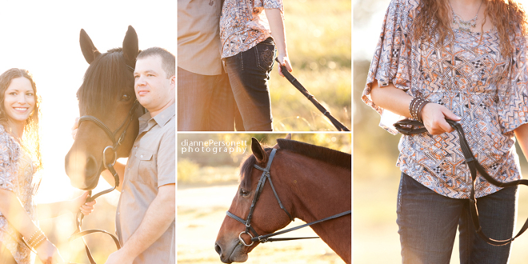 engagement session with horses in a field, charlotte