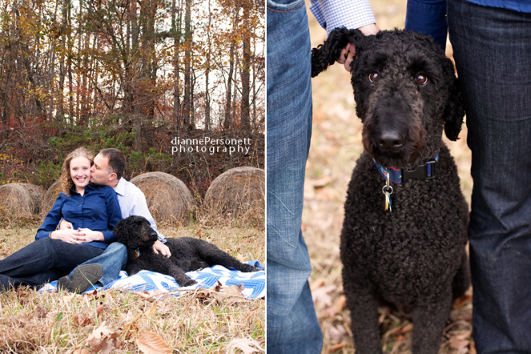 engagement photos with dogs