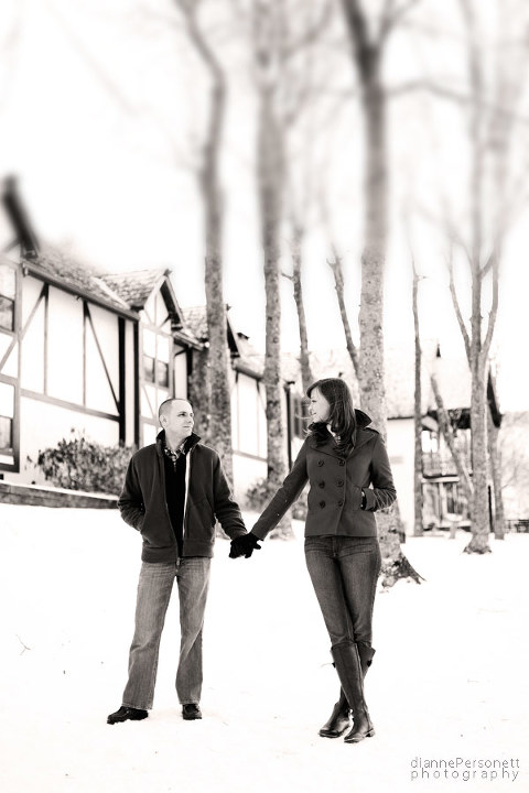 Alpen Inn Banner Elk