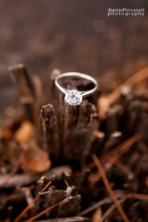 Freedom Park Charlotte engagement photos