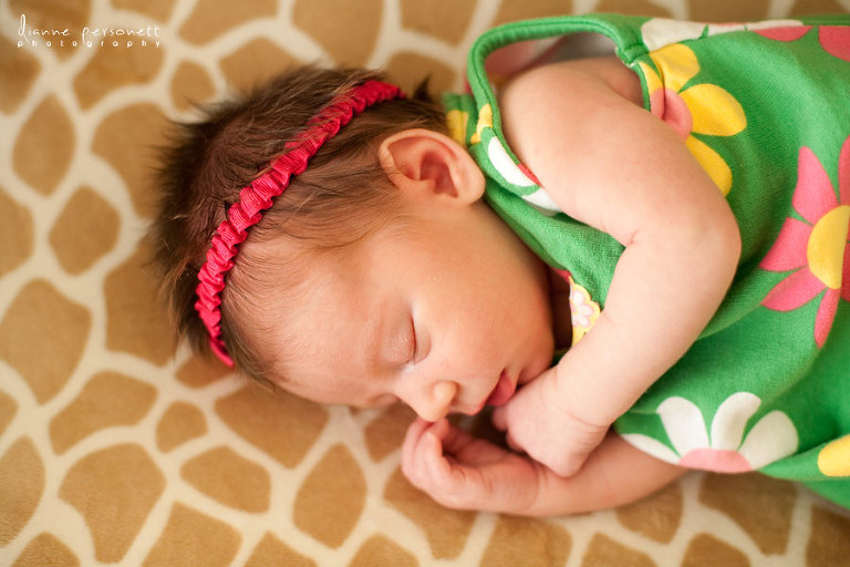 NC newborn photography