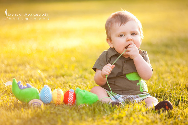 charlotte family portrait photographer