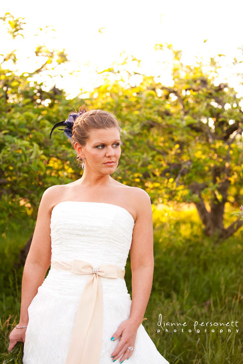 carrigan farms mooresville wedding photographer