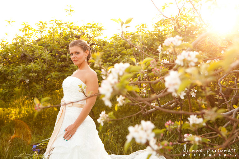 carrigan farms mooresville wedding photographer