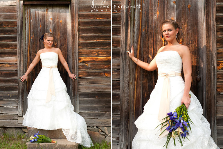bridal portraits at Carrigan Farms Mooresville