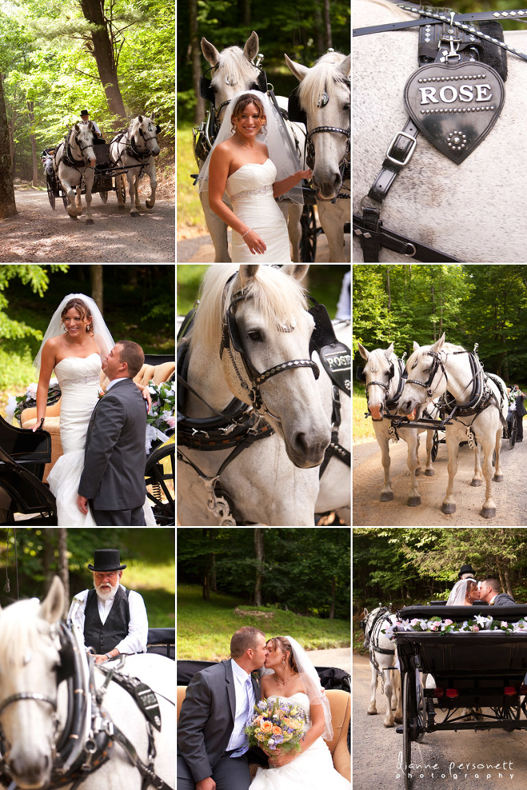 roanoke virginia wedding photographer, Laurel Springs Percherons