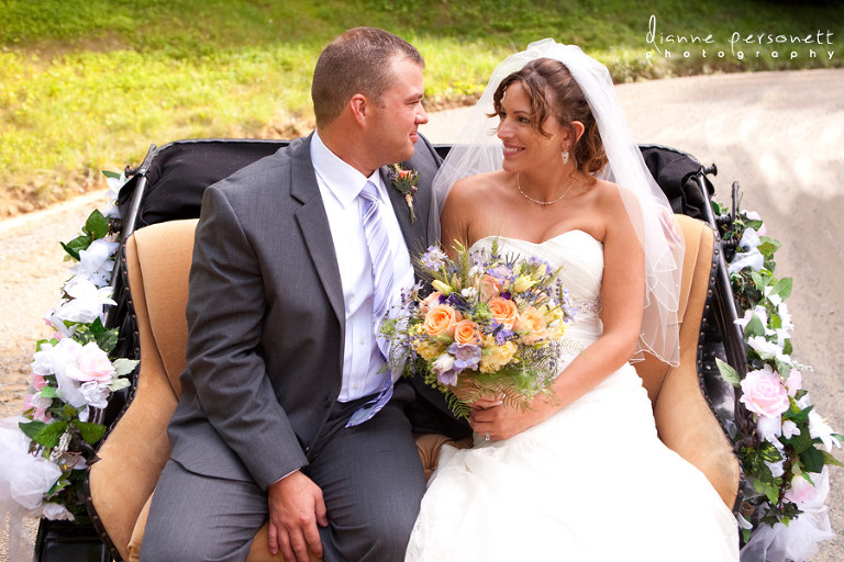 Laurel Springs Percherons Virginia