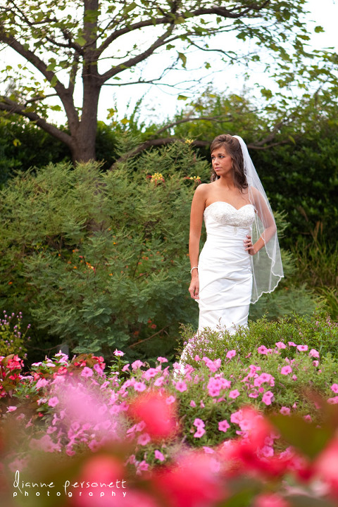 bridal portraits at Daniel Stowe Botanical gardens belmont nc