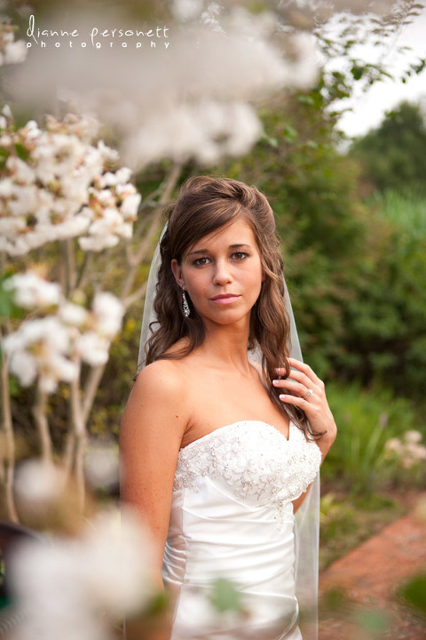 wedding photos at Daniel Stowe Botanical gardens belmont nc