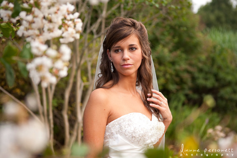 wedding photos at Daniel Stowe Botanical gardens belmont nc