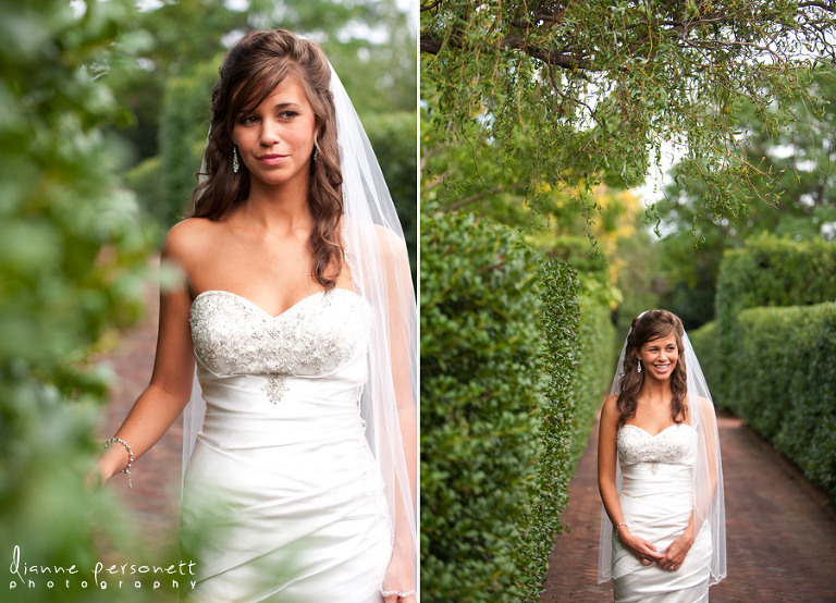 Daniel Stowe Botanical gardens bridal portraits
