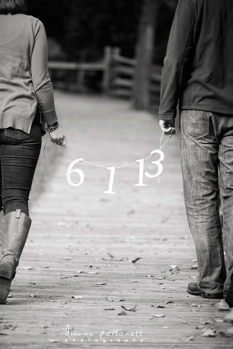 Carrigan Farms Mooresville NC engagement photos