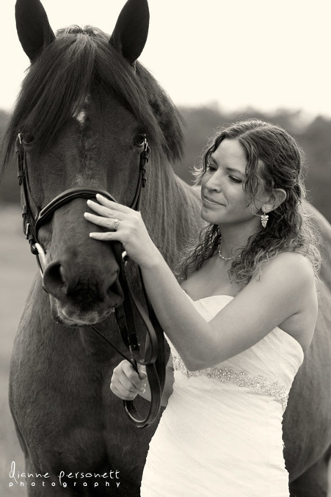 bridal photos with horses in a field