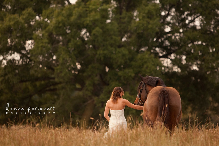 bridal photos with horses in a field