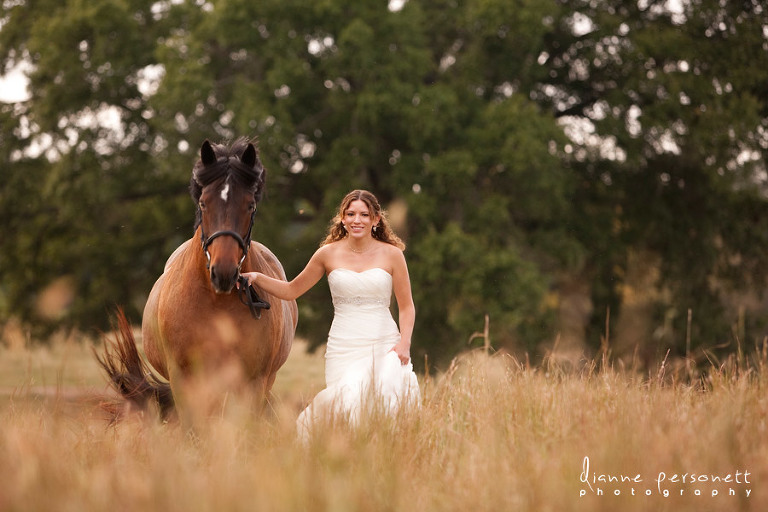 Charlotte bridal portraits with a horse in a field