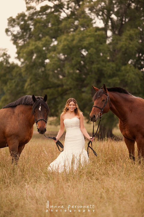 Charlotte bridal portraits with a horse in a field