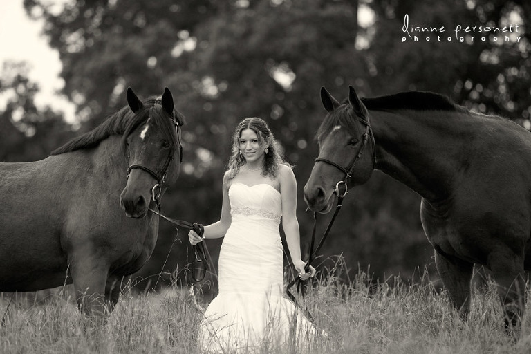 Charlotte bridal portraits with a horse in a field