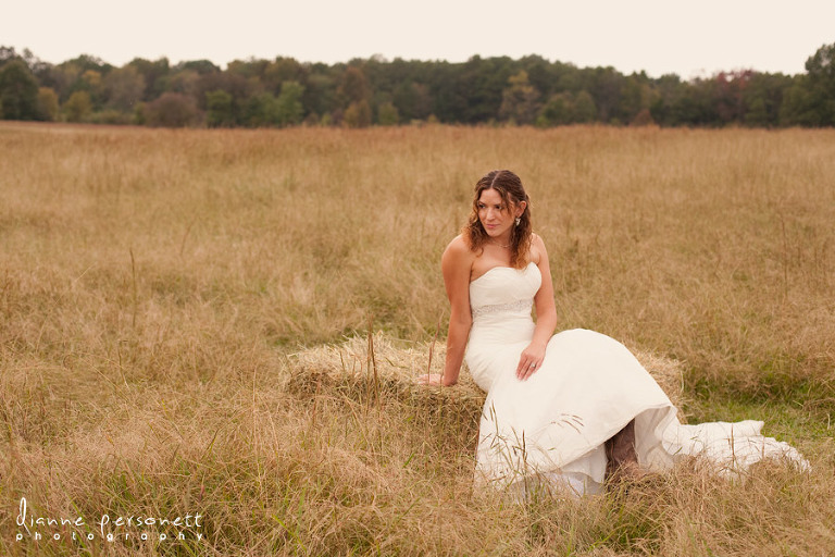 charlotte bridal photos in a field