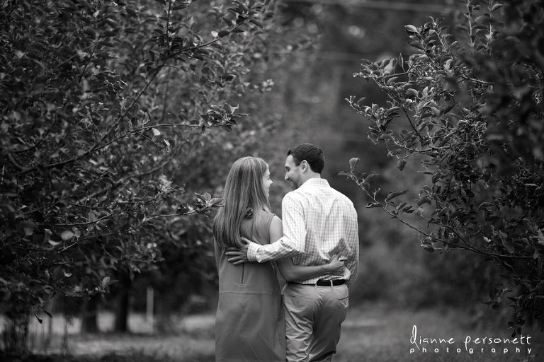 engagement photos at windy hill orchard sc