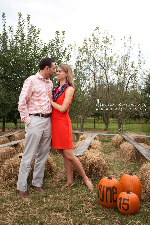 windy hill orchard & cider mill sc