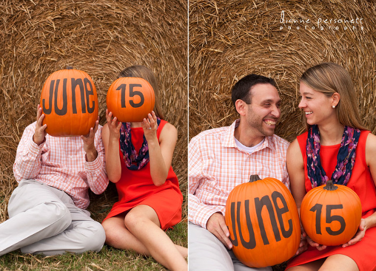 windy hill orchard & cider mill engagement session