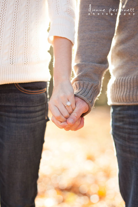 engagement photos at the dairy barn sc