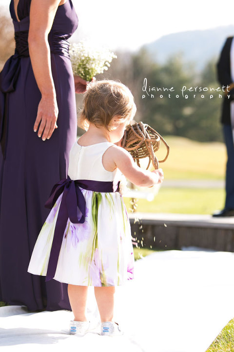 jefferson landing, jefferson nc wedding photos