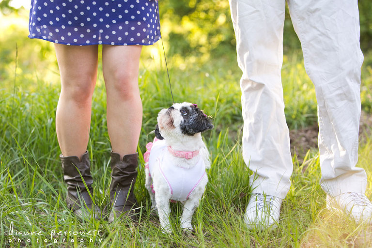 engagement photos at a barn mooresville nc