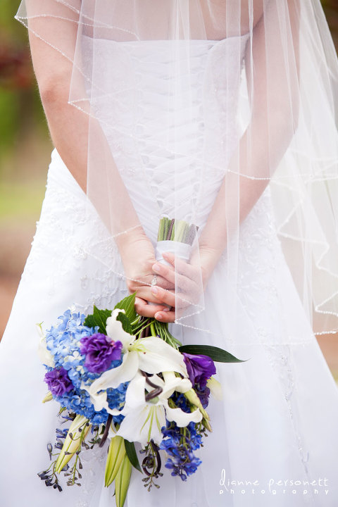 carey roberts design co