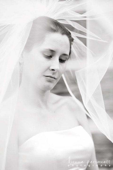 the dairy barn ft. mill sc bridal session