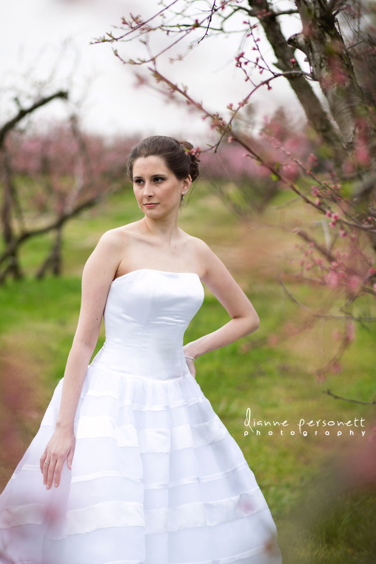bridal photos at the dairy barn ft. mill