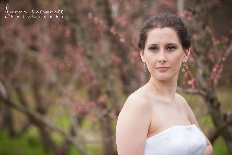 charlotte bridal session with blossoms
