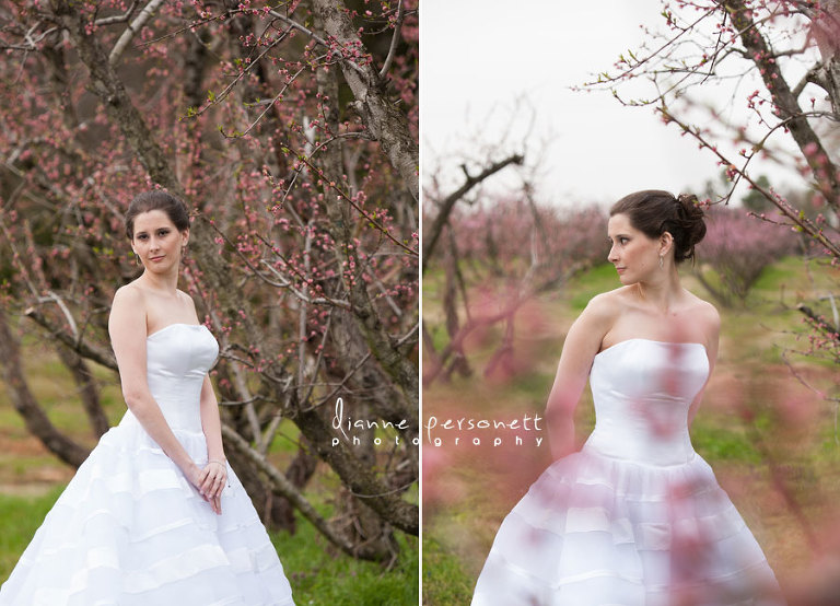 charlotte bridal session with blossoms