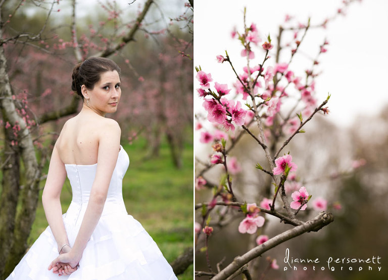 bridal photos at the dairy barn ft. mill