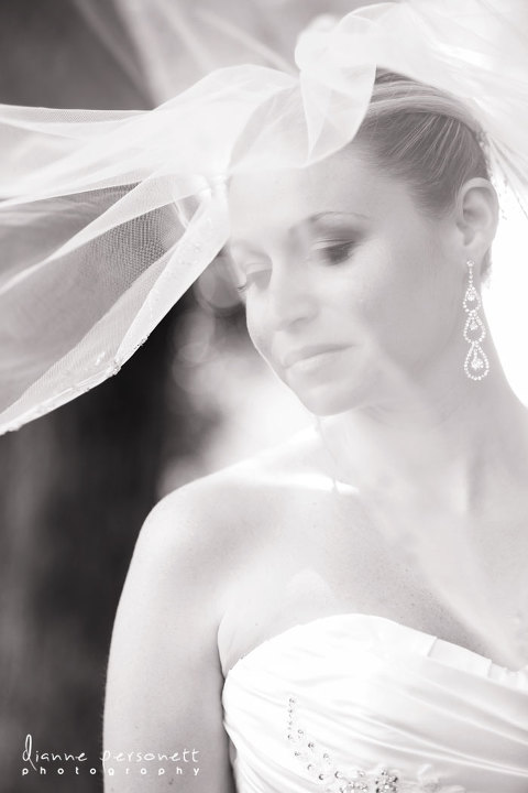 weddings at peninsula club cornelius nc