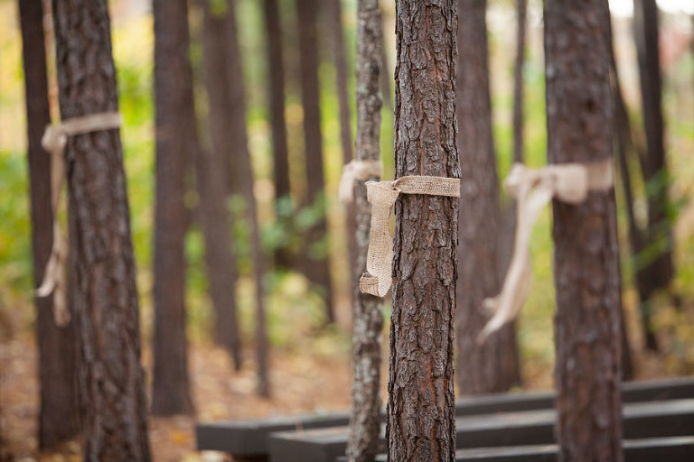 watershed pavilion at edgemoor wedding photos