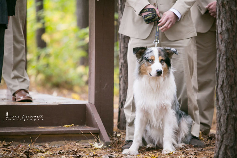 watershed pavilion at edgemoor wedding photos