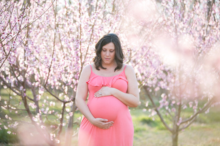 photos at the peach trees in fort mill sc