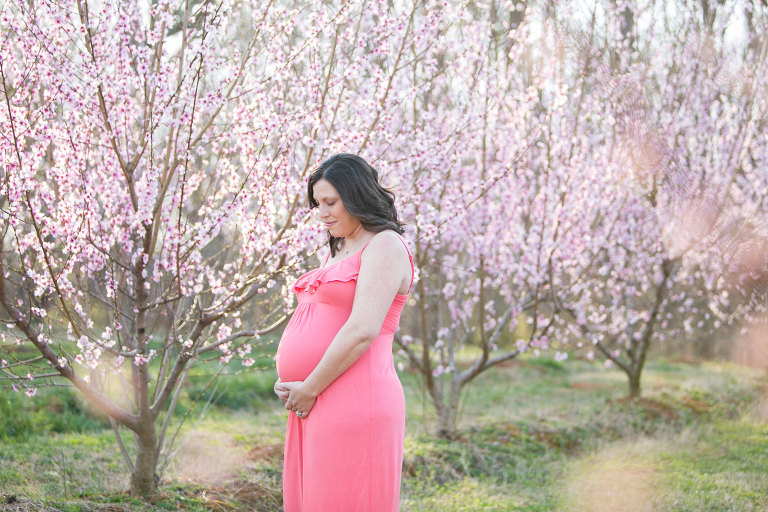 peach trees in fort mill sc