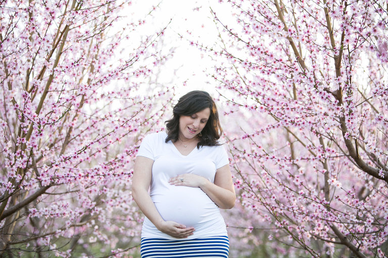maternity photos in charlotte nc