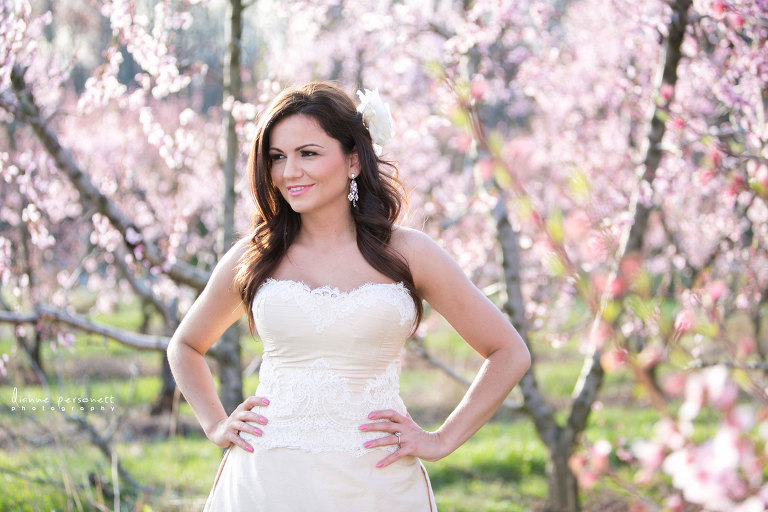 bush-n-vine farms york sc