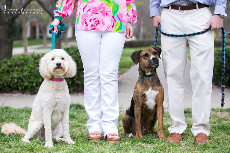uptown charlotte engagement session